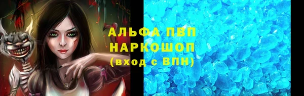 сатива Белокуриха