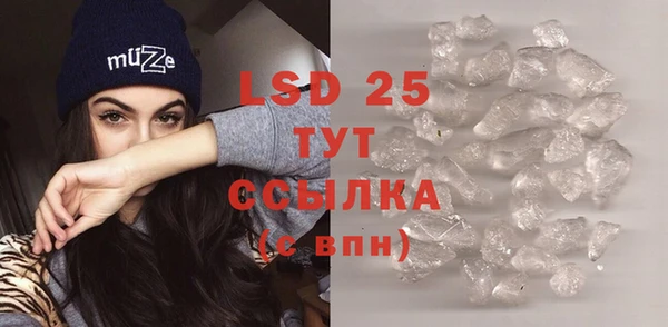 индика Белоозёрский