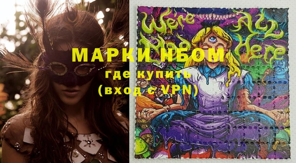 индика Белоозёрский
