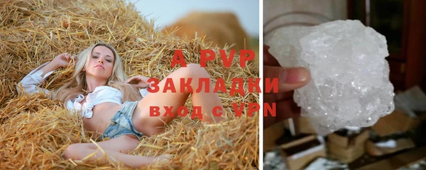 дживик Беломорск