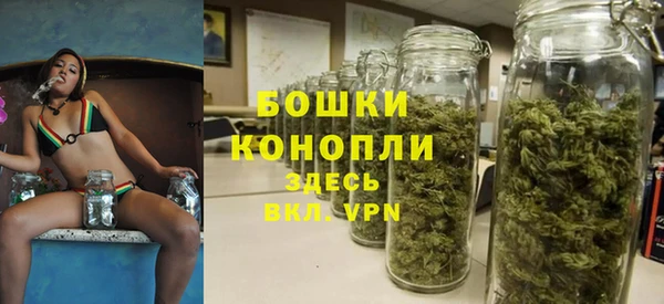 прущий лед Бородино