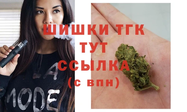 сатива Белокуриха