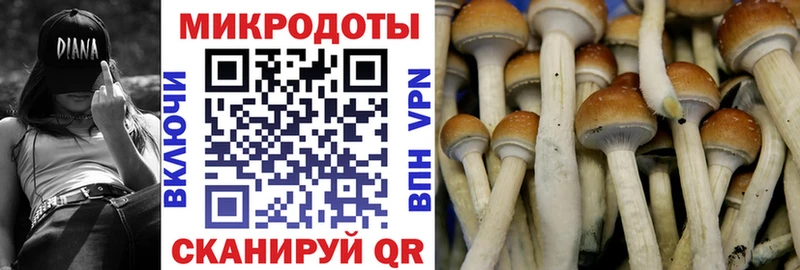 Галлюциногенные грибы мицелий  наркота  Каневская 